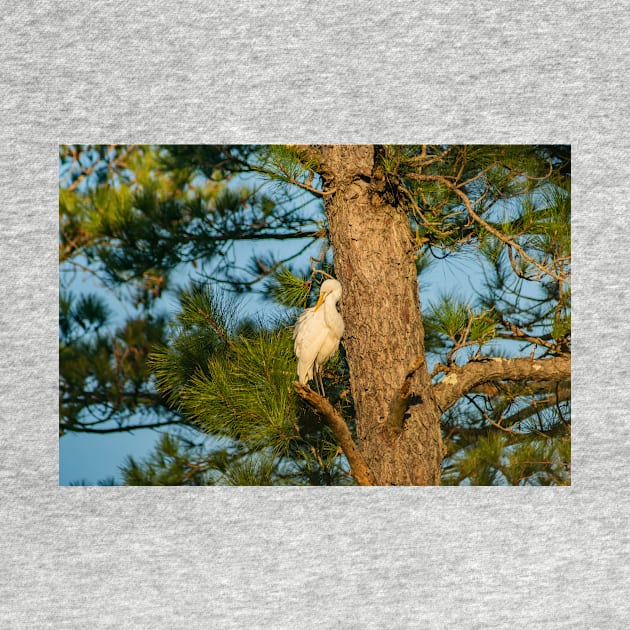 Wader Egret by KensLensDesigns